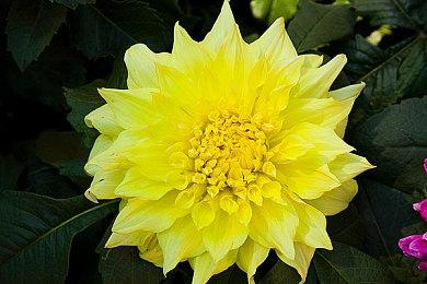 暴雪中国回应国服回归：没有可分享的信息